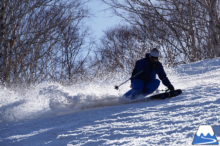 DYNASTAR SKI series Test Ride Days 2017 in ニセコユナイテッド【Day.2】～ニセコグラン・ヒラフ～